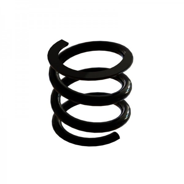 Arrma Steel Slipper Clutch Spring (4x4)
