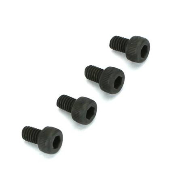 Socket Cap Screws 2.5mm x 4 (4)