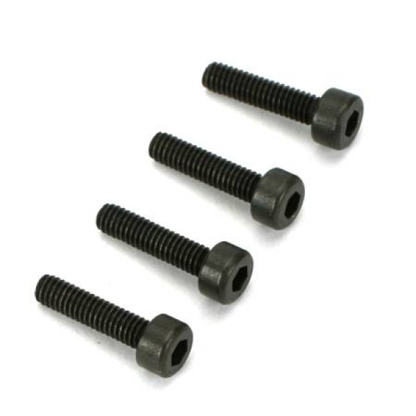 Socket Cap Screws 2.5mm x 10 (4)