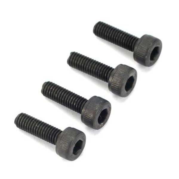 Socket Cap Screws 3mm x 10 (4)