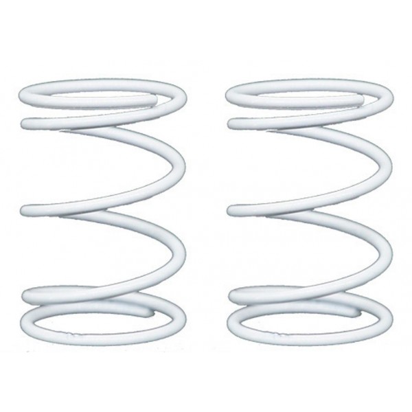 eXcelerate Prodigy On-Road Rear Springs (2) (White/2.8lbs)