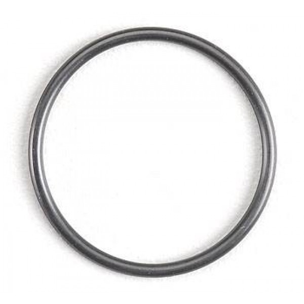 1425 Cover Plate O-Ring .21 BB