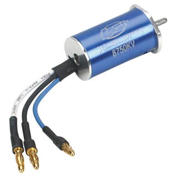 1/36 Xcelorin 8750Kv BrushlessM