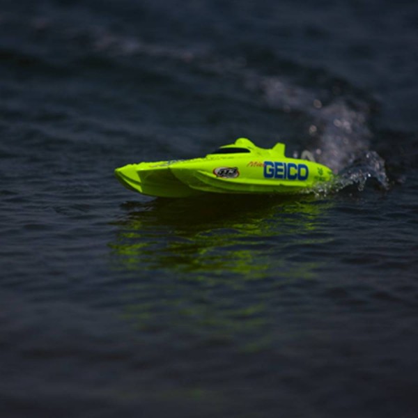 Miss Geico 17" Catamaran RTR