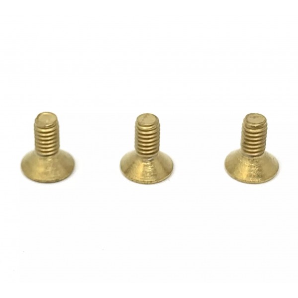 R1 Wurks V21 Titanium Timing Screws (3)