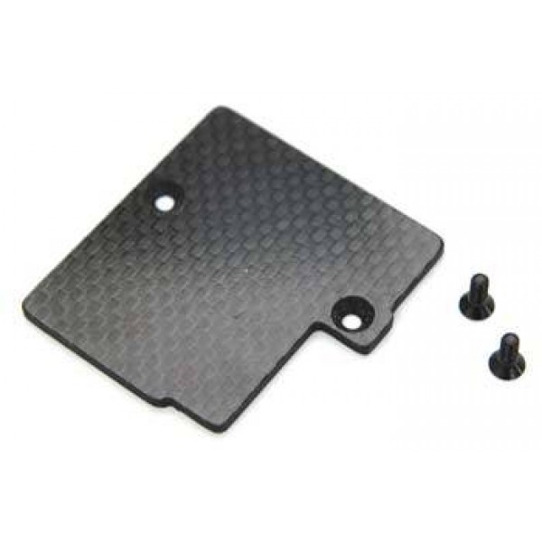 ST6877CF Ltwt Crbn Fbr Electronic Mounting Plate Slash