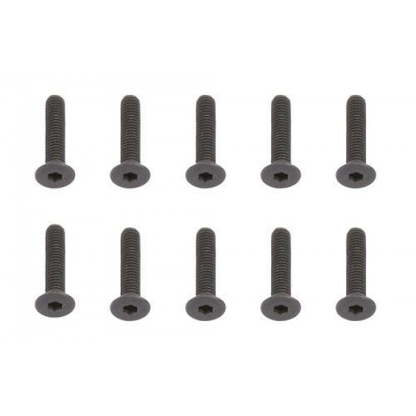 Team Associated Screws, M3x14mm (FHCS) (10)