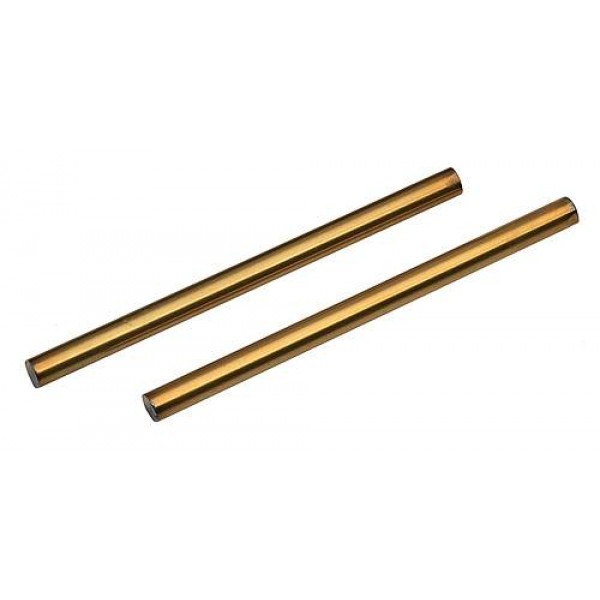 Team Associated Factory Team TiN Rear Inner Hinge Pins (2)