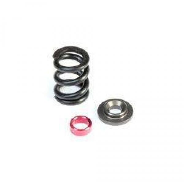 TLR HD Slipper Spring Set, SHDS