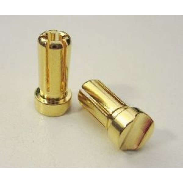 TQ Wire Products 5mm Male Short Light Bullets, Gold 13mm (2)