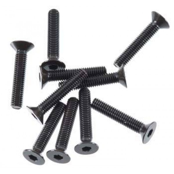 Flat Head Screw 3x16mm (10)