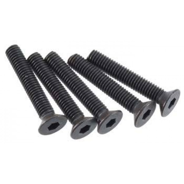 Flat Head Screw 3x18mm (5)