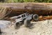 Axial Wraith Spawn Ready to Run 1/10 4WD Rock Racer