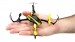 Blade Nano QX RTF Quadcopter