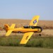 E-flite T-28 Trojan 1.1m BNF Basic with AS3X and Safe Select