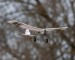 E-flite UMX Slow Ultra Stick RTF