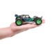 ECX RC Micro Roost RTR 1/28 2wd Buggy (green)