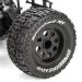 Ruckus1:10 2wd MT BL, AVC: RTR