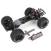 ECX RC 1/10 Ruckus 2WD RTR Monster Truck