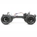 Ruckus 1/10 2WD Brushless Monster Truck with LiPo, Silver