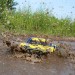 Torment RTR 1/10 2WD Short Course Truck, Yellow / Blue