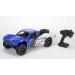 Baja Rey RTR 1/10 4WD Brshless Desert Truck with AVC, blue