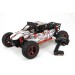 Desert Buggy XL: 1/5th 4WD RTR