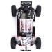 Desert Buggy XL: 1/5th 4WD RTR