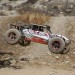 Desert Buggy XL: 1/5th 4WD RTR