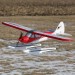 Sport Cub PNP