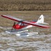 Sport Cub BNF Brushless Plane