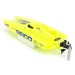 Miss Geico 17" Catamaran RTR