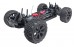 Blackout XTE Brushed RTR 1/10 scale 4WD Monster Truck