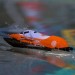 Roguewave RTR 10" F1 Self-Righting Tunnel Hull Boat, Orange