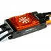 Spektrum Avian 100 Amp Brushless Smart ESC, 3-6S Ver. A