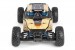 Limited Edition Nomad DB8 RTR 1/8 4WD Buggy and LiPo Battery