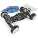 Team Associated RC10B6.1 1/10 2WD Buggy Assembly Team Kit