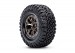 Traxxas 4X4 VXL 1/10 Ford Raptor R Brushless, Blue
