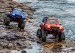 Traxxas TRX-4 1/10 Trail Rock Crawler with All-Terrain Traxx, Orange 