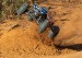 Traxxas Maxx Widemaxx 1/10 4WD RTR Brushless Monster Truck, with TQI Radio & TSM, Orange