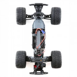 Ecx ruckus 2wd brushless shop