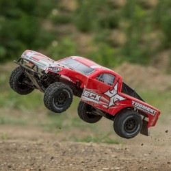 Ecx torment brushless motor sale