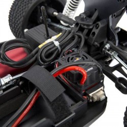 ECX RC 1/8 Revenge 4WD Buggy BL Red RTR ECX04000 | [Cars