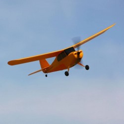 Champ sales rtf plane