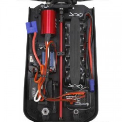 Losi mini 8ight motor outlet