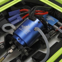 Miss geico 29 v3 for sale clearance