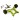 Integy Wheelie Bar for Arrma 1/10 Granite4X4 3S BLX Green